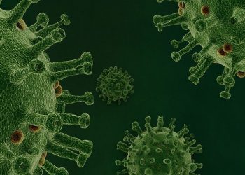 Gorenje stellt Produktion vorläufig ein