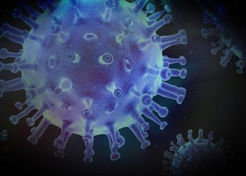 Innerstaatlich Beförderungen gebietsfremder EU- / EWR-Unternehmer im Zusammenhang mit der Verbreitung des Coronavirus