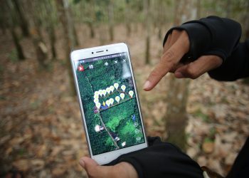 Transparente Lieferketten digital rückverfolgbar